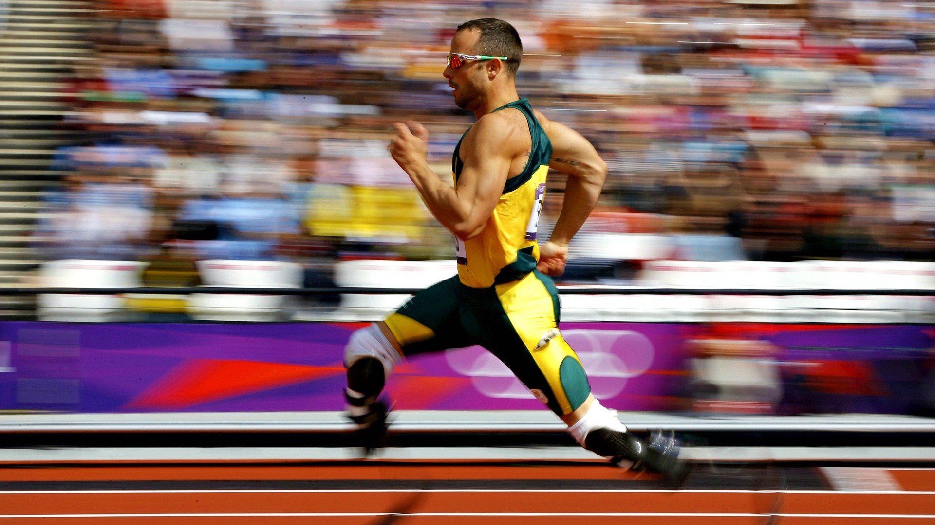 乐鱼体育地址-体育赛事观众服务体系，什么是体育赛事接待服务