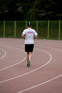 乐鱼体育地址-高校运动训练效果科学评估研究，运动训练高校排名